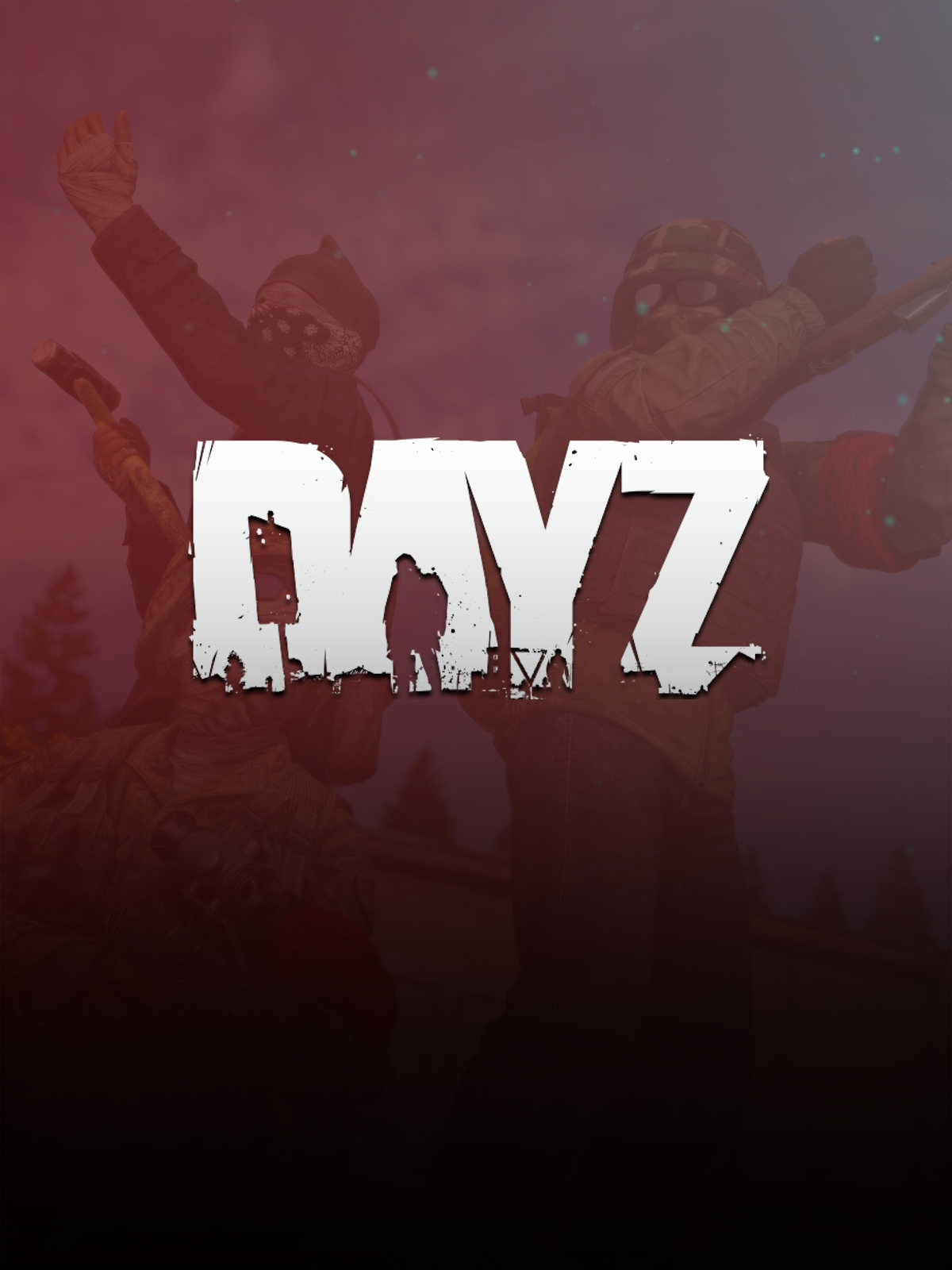 DayZ — приватный игровой софт